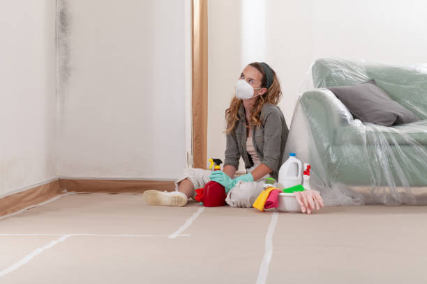 Reliable Mold Remediation contractor in Jamestown, TN by WQB Mold Removal